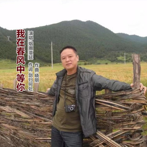 我在春风中等你