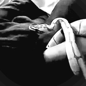 I know that you hate me