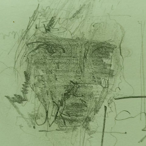 水仙花小姐（demo）