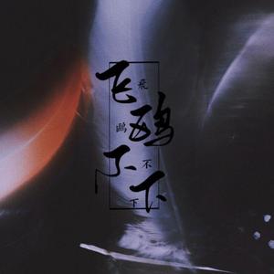 飞鸥不下