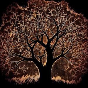 Tribute (Remastered 2024)