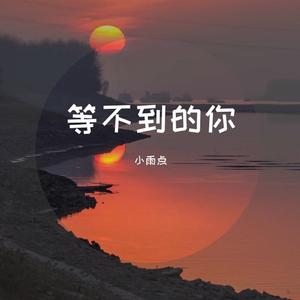 等不到的你