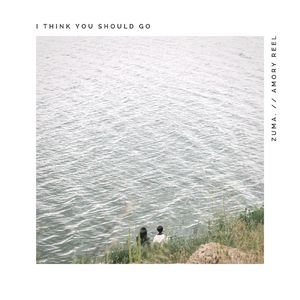 I Think You Should Go