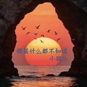 假装什么都不知道