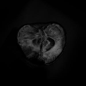 Shadow (feat. Treha Sektori)