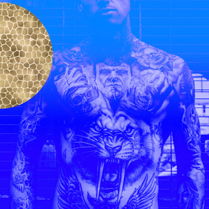 Above Ground From Seattle