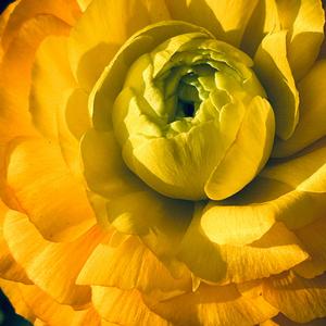 Karma Looks Good on Me