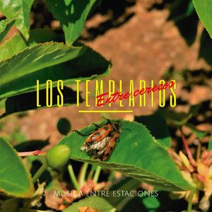 Amiga criminal (Live)