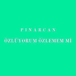 Özlüyorum Özlemem Mi
