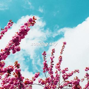 Soaring Sky