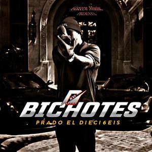 BICHOTES