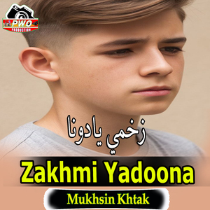 Zakhmi Yadoona
