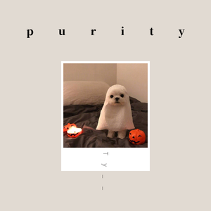 无菇朋友(粗制滥造)