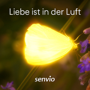Liebe ist in der Luft