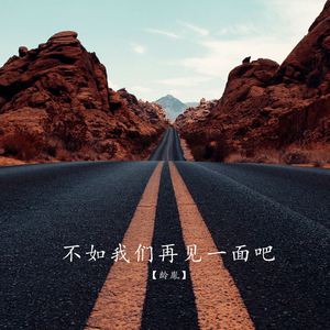 不如我们再见一面吧