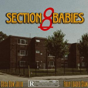 Section 8 Babies (feat. Sosa Don Julio)