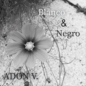 Bajenle Algo