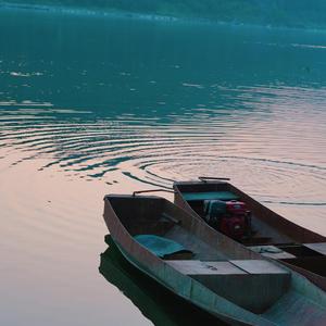 我不是你的宋东野