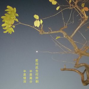 等风等你