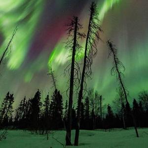 夏天不会下雪的