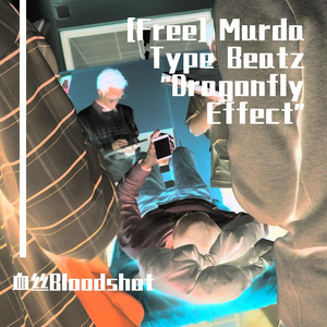 [Free] Murda Type Beatz "Dragonfly Effect"