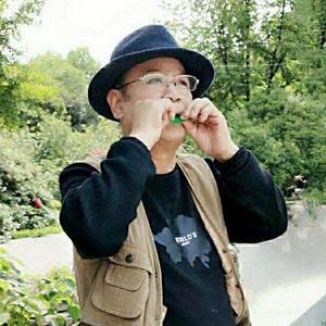 小树叶儿的十八弯mst1