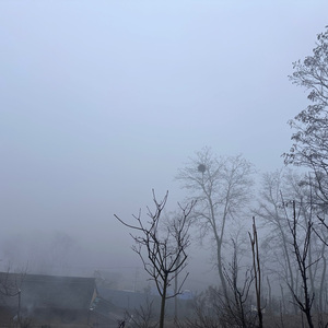 难以捉摸的你啊