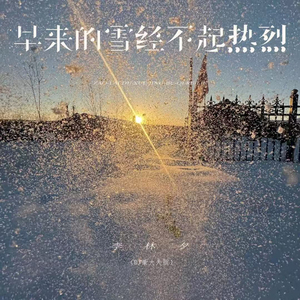 早来的雪经不起热烈(DJ版)