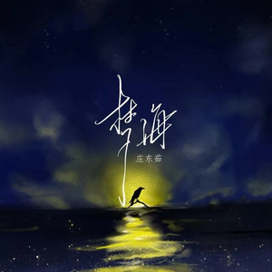梦海（DJ弹鼓版）沉沦版