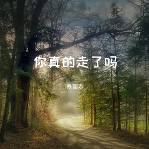 你真的走了吗