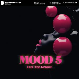 Feel The Groove (Radio Edit)