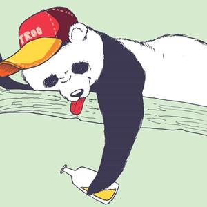 Drunk Panda