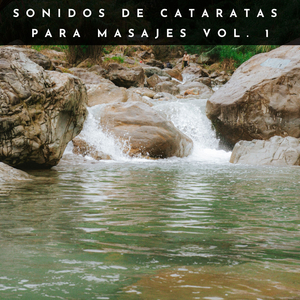 Calmantes Fuegos Crepitantes