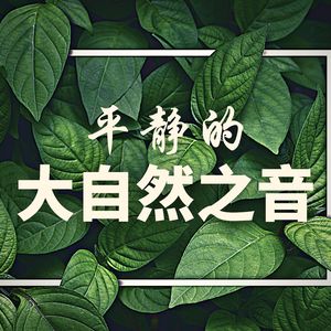 深度冥想