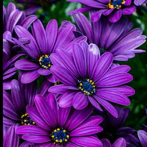 I Need You, Want You, Love You (feat. Raspo)