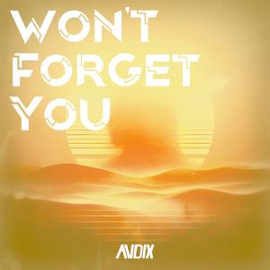 Won't Forget You