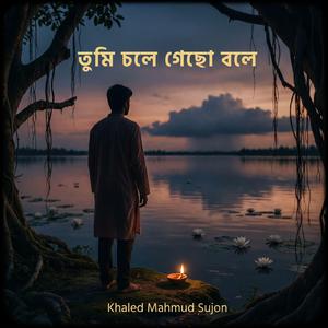তুমি চলে গেছো বলে
