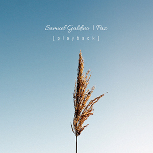 Passageiro (Playback)