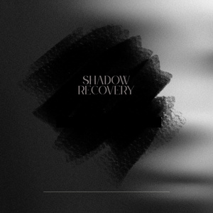 Shadow Recovery