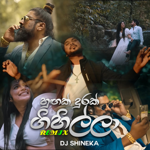 හුඟක් දුරක් ගිහිල්ලා (Remix)