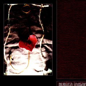 The Seductive Nature of Female *********