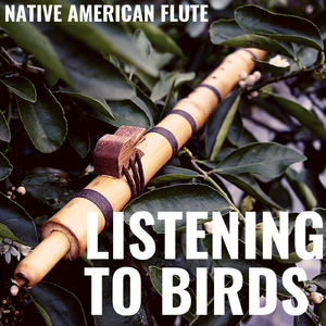 Listening to birds (Native American Flute) [with waterfall sound]