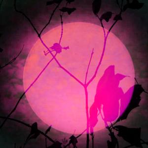 jupiter ( pitched up )