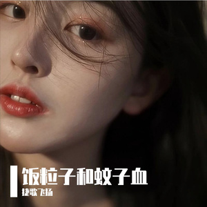 饭粒子和蚊子血 伴奏