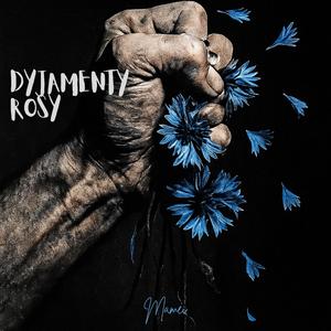 Dyjamenty rosy
