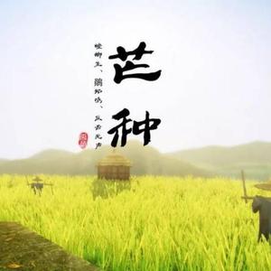 音阙诗听-芒种咚鼓版（李小政 / KAY· X remix）