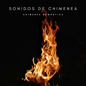 Fuego En El Invierno