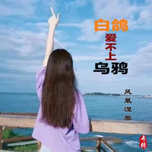 白鸽爱不上乌鸦