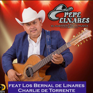 Te He Borrado (feat. Los Bernal de Linares)