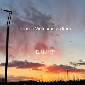 Chinese Vietnamese drum